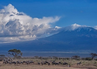 Monte Kilimanjaro